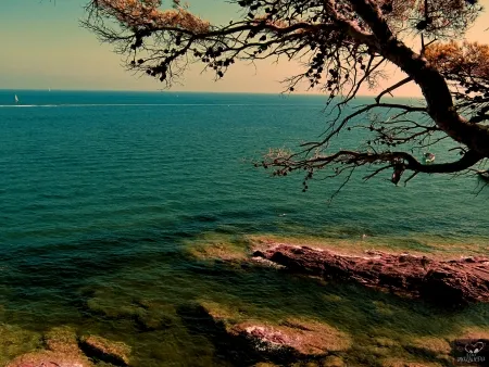 写真 Bohorquez - Bleu