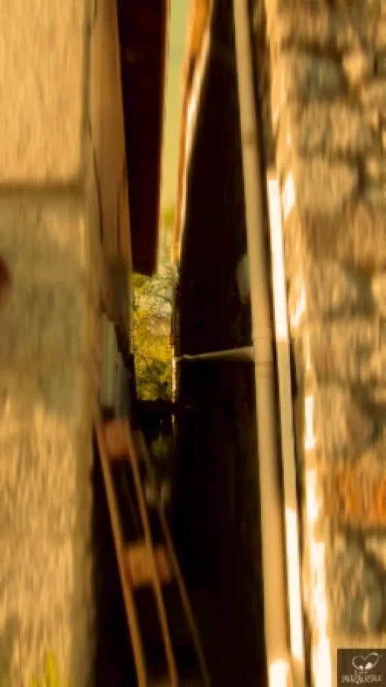 写真 Bohorquez - Grieta (Crack)