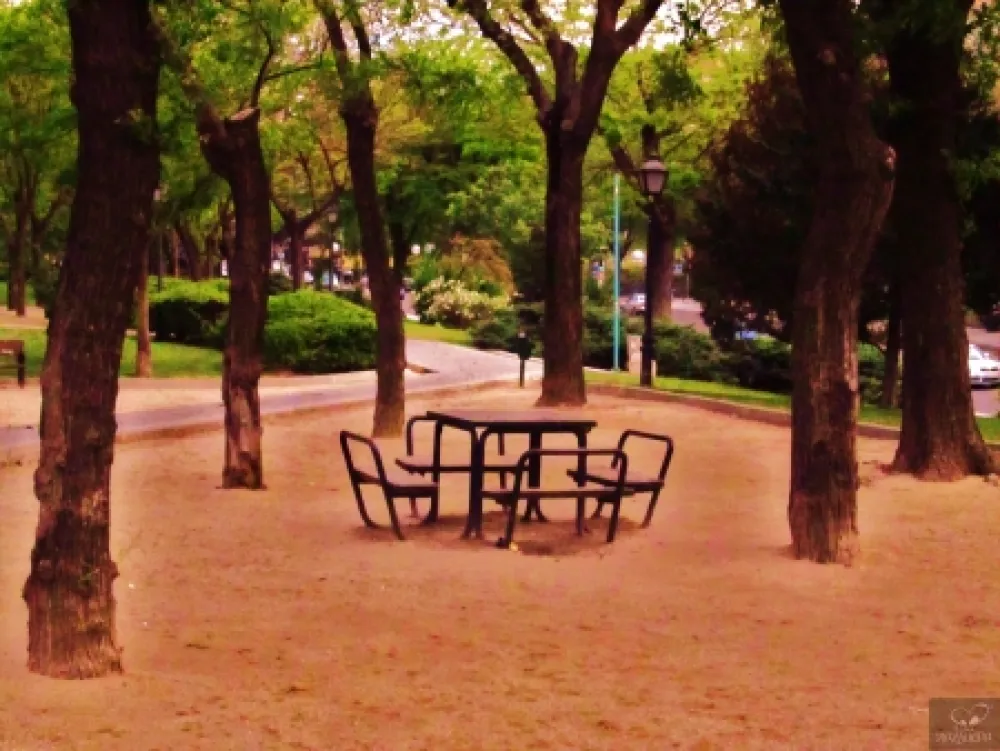 写真 Bohorquez - La cita