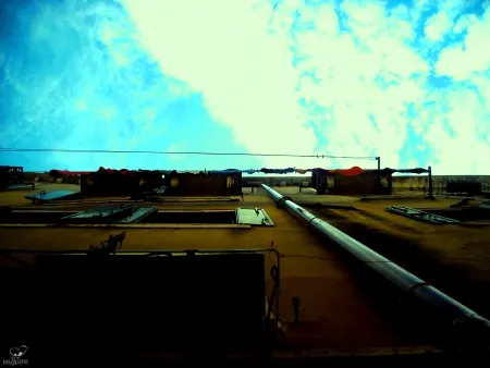 写真 Bohorquez - Medialuz (Halflight)