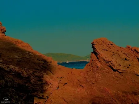 写真 Bohorquez - Rocosas