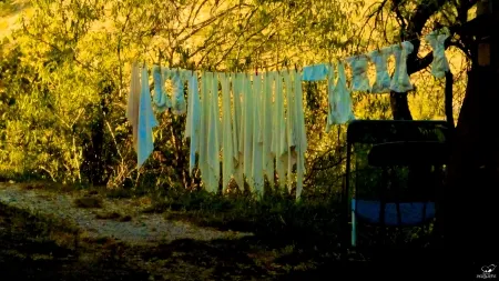 写真 Bohorquez - Sueños colgados