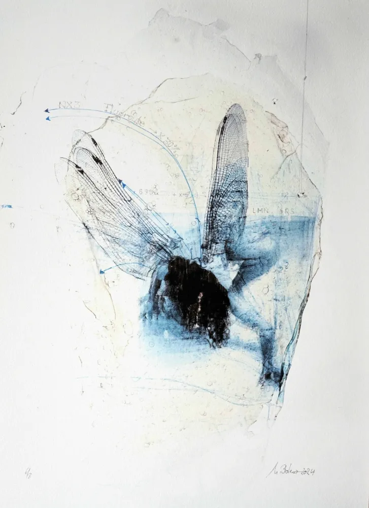 彫版 Bolenz - Libellule