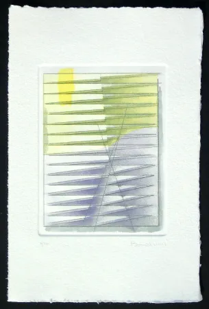 エッチングと　アクチアント Bonalumi - Senza titolo