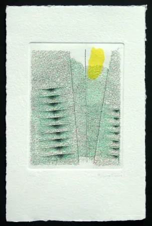 エッチングと　アクチアント Bonalumi - Senza titolo