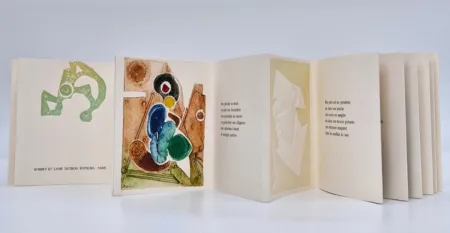 挿絵入り本 Boni - Transfert