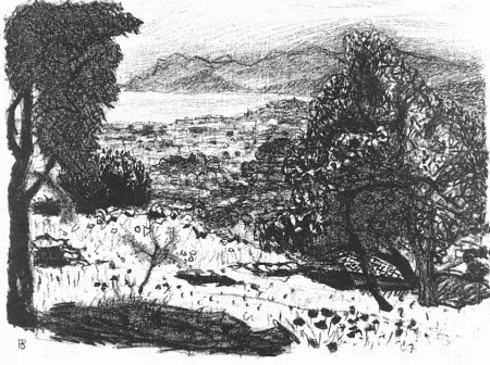 リトグラフ Bonnard - Paisage du midi