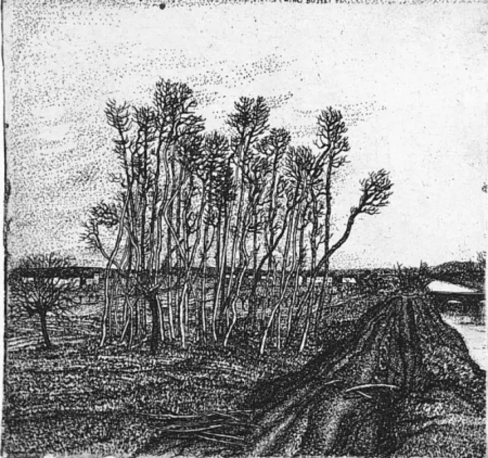 エッチング Bozzetti - Il boschetto lungo l'argine (II versione)