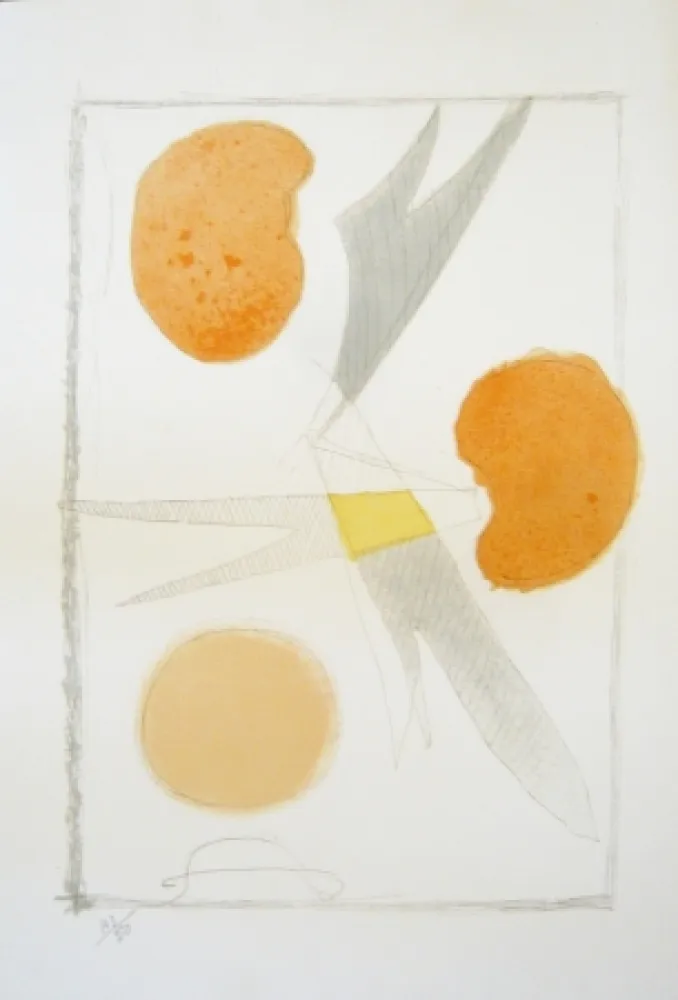 リトグラフ Braque - Tirée de La liberté des mers