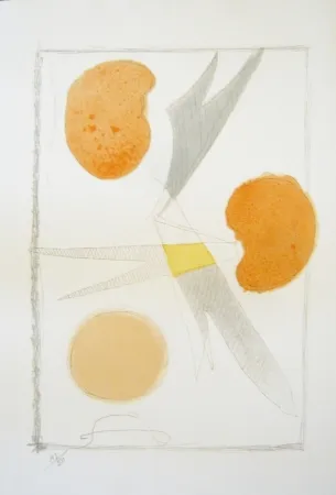 リトグラフ Braque - Tirée de La liberté des mers