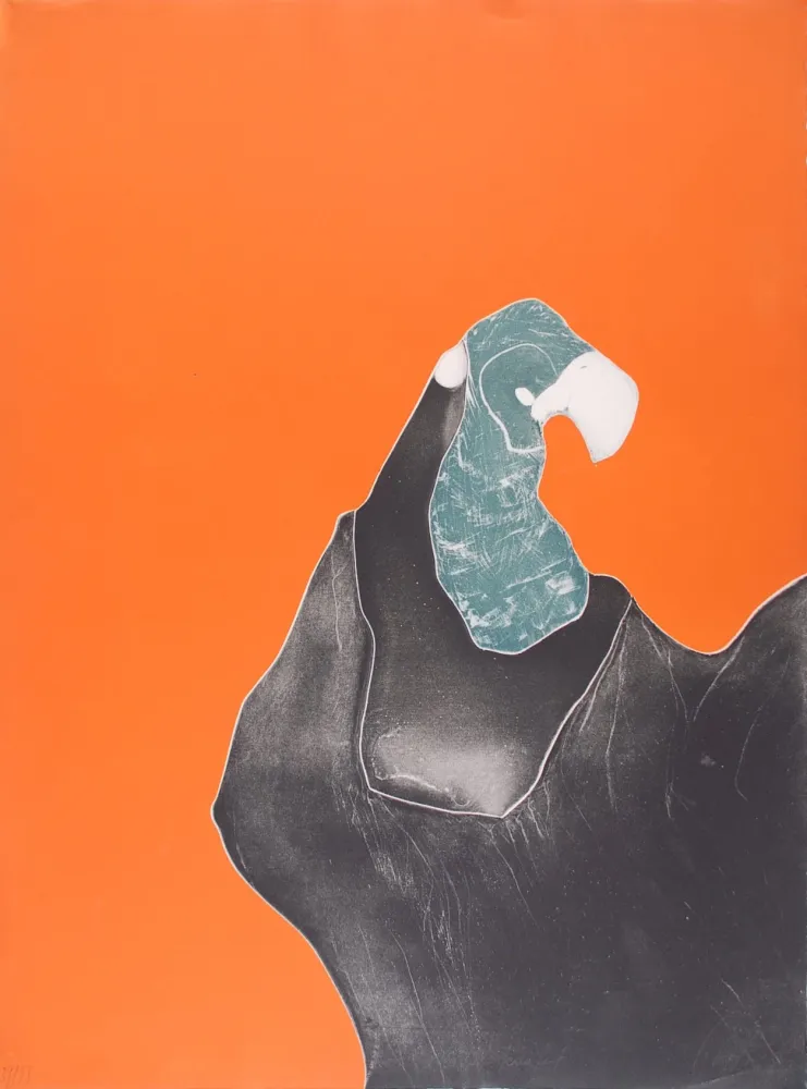 エッチング Brillant - Le Rocher Perroquet