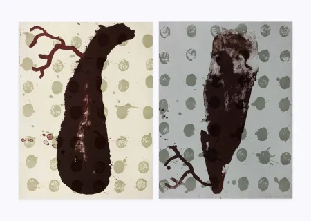 リトグラフ Brown - Two cells diptyque