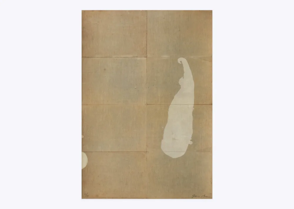 リトグラフ Brown - White salt 