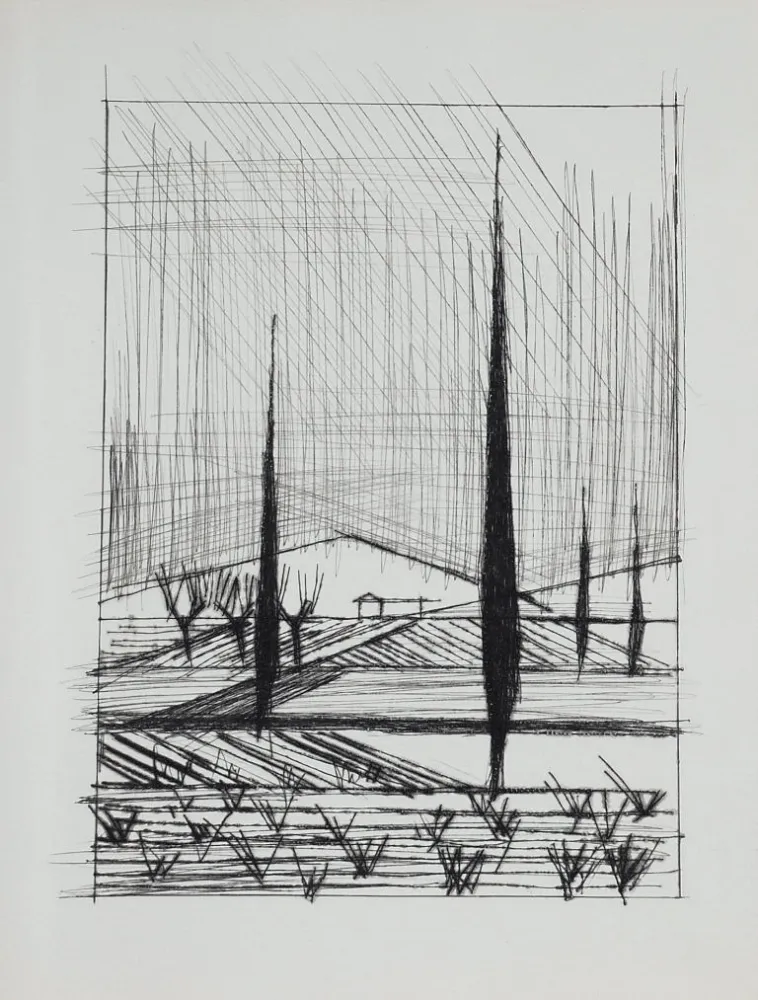 ポイントーセッシュ Buffet - Naples, ca