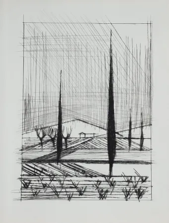 ポイントーセッシュ Buffet - Naples, ca