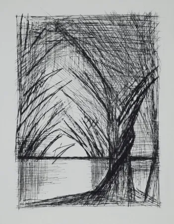 ポイントーセッシュ Buffet - Naples, ca.