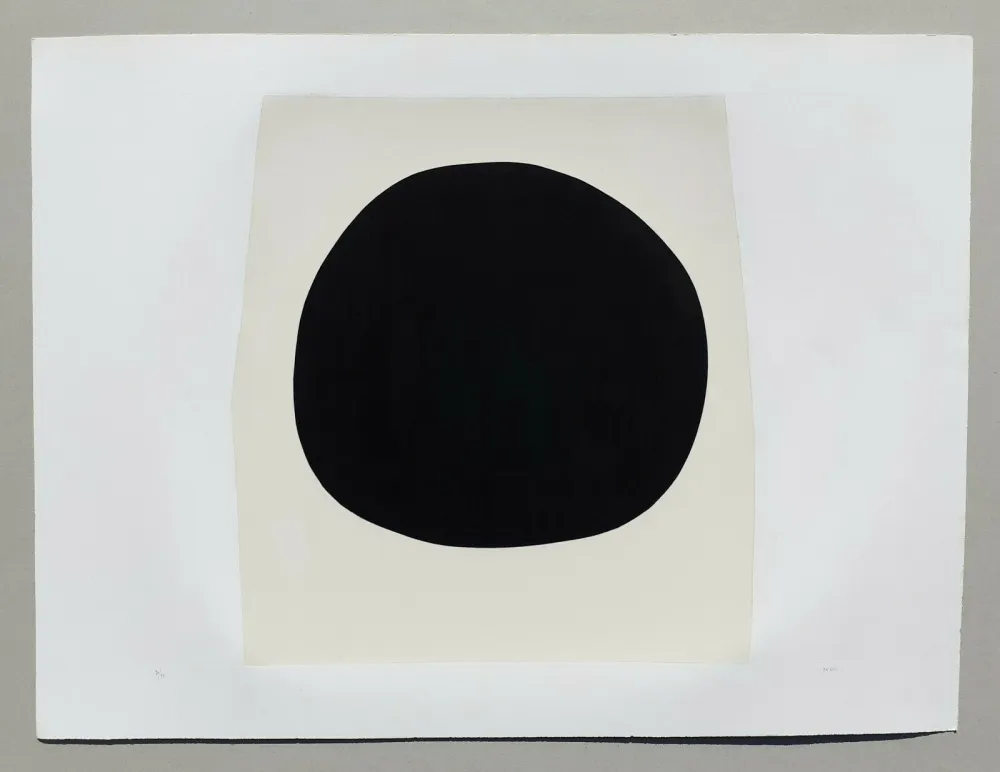 リトグラフ Burri - Bianchi e neri I - Tavola F