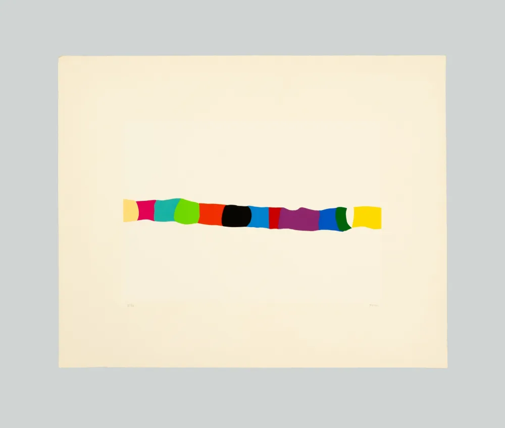 シルクスクリーン Burri - Serigrafia 2-C