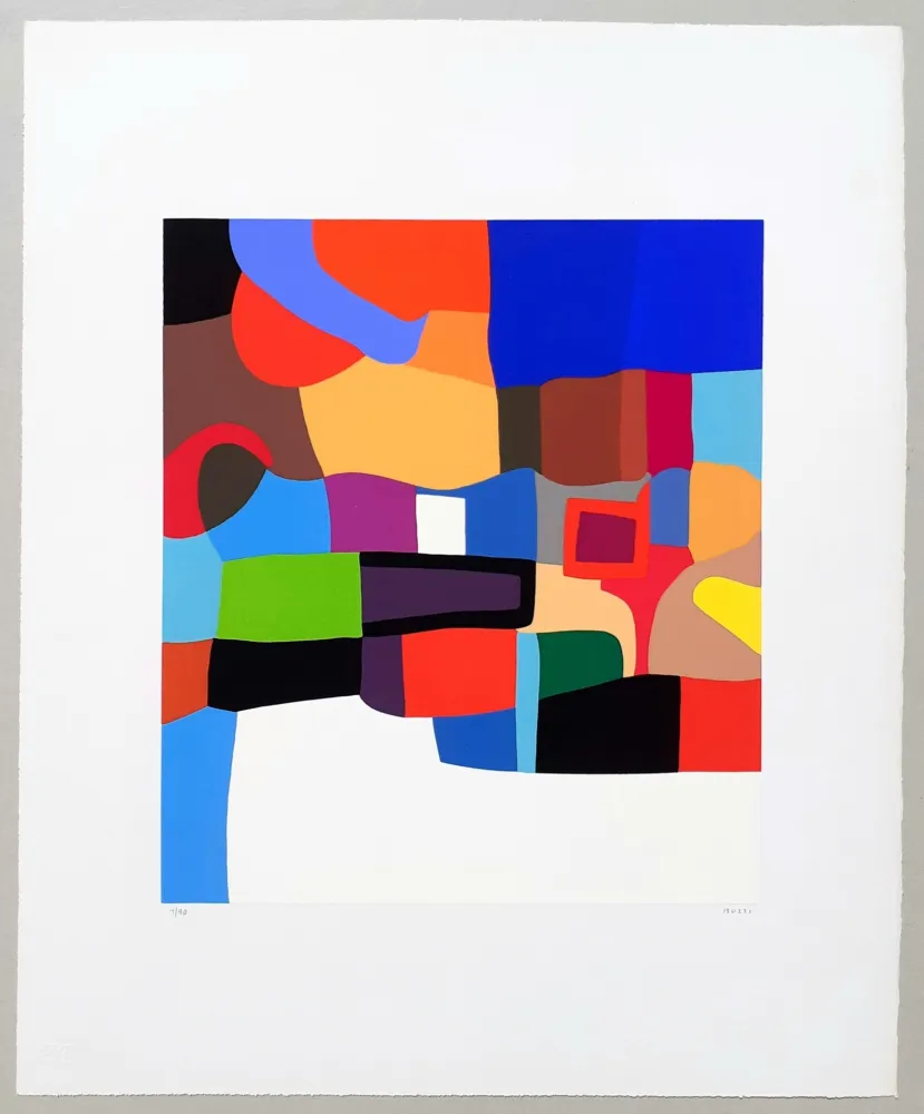 シルクスクリーン Burri - Serigrafia 2-D