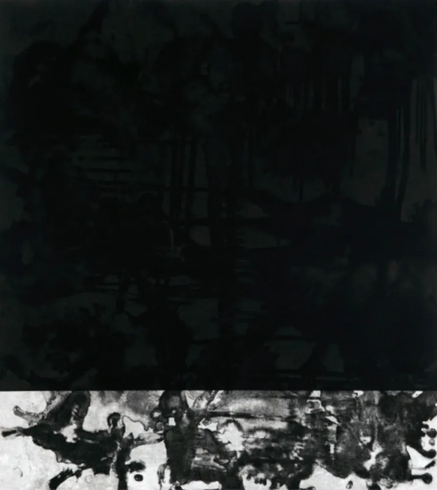 アクチアント Cabrita Reis - E as estrelas do céu cairam na terra....I