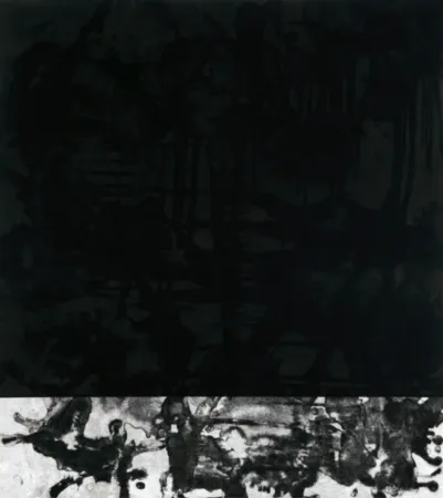 アクチアント Cabrita Reis - E as estrelas do céu cairam na terra....I