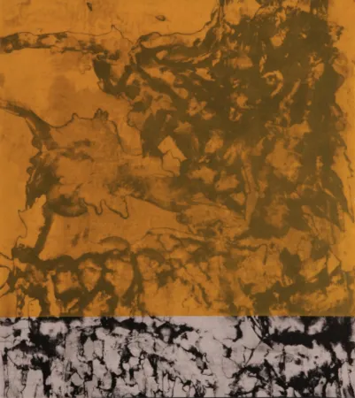 アクチアント Cabrita Reis - E as estrelas do céu cairam na terra....II