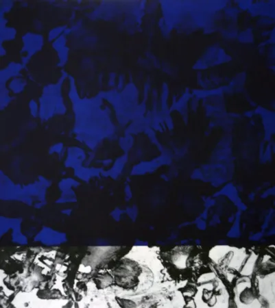 アクチアント Cabrita Reis - E as estrelas do céu cairam na terra....IV