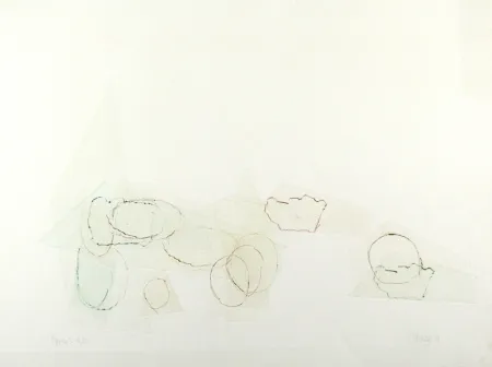 ポイントーセッシュ Cage - Ryoku 2