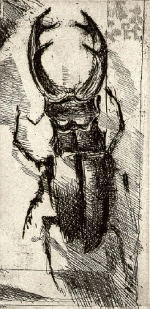 挿絵入り本 Calandri - Ballades et Rondeaux du Testament Villon