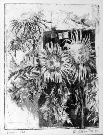 エッチング Calandri - Cardi