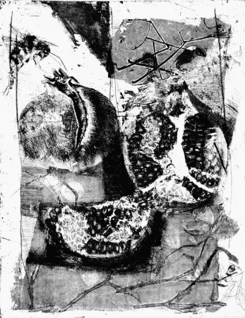 エッチング Calandri - Melograne