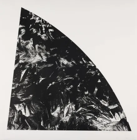 リトグラフ Calder - Baie Rouge