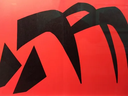 挿絵入り本 Calder - DLM 113