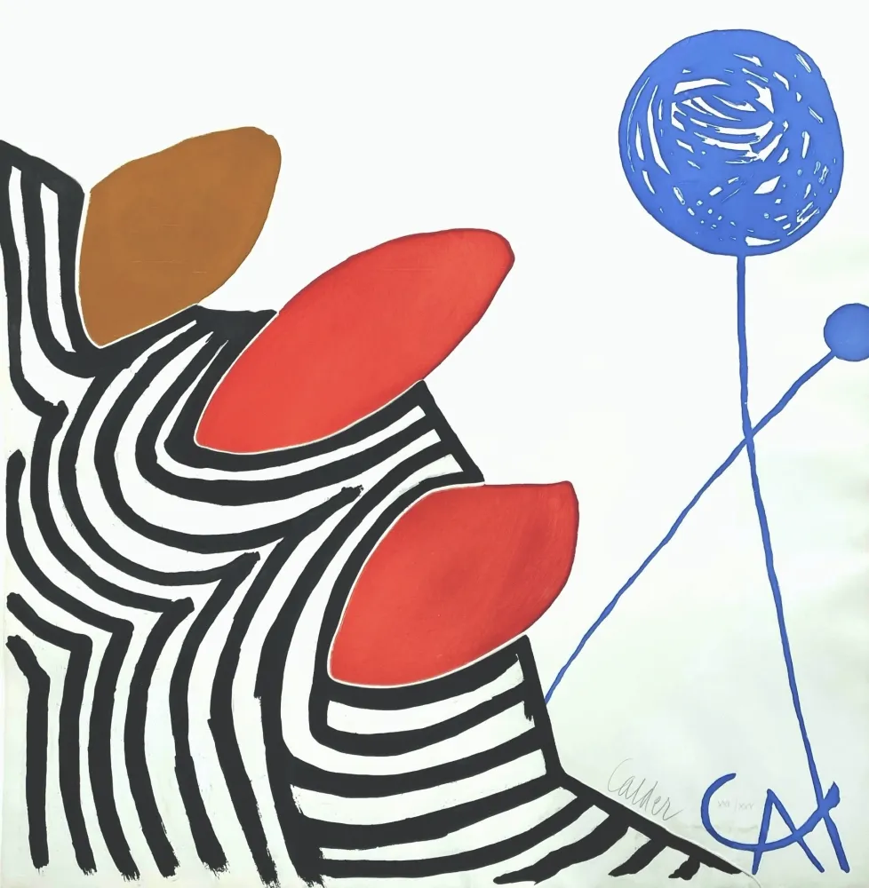 アクチアント Calder - Presenza Grafica