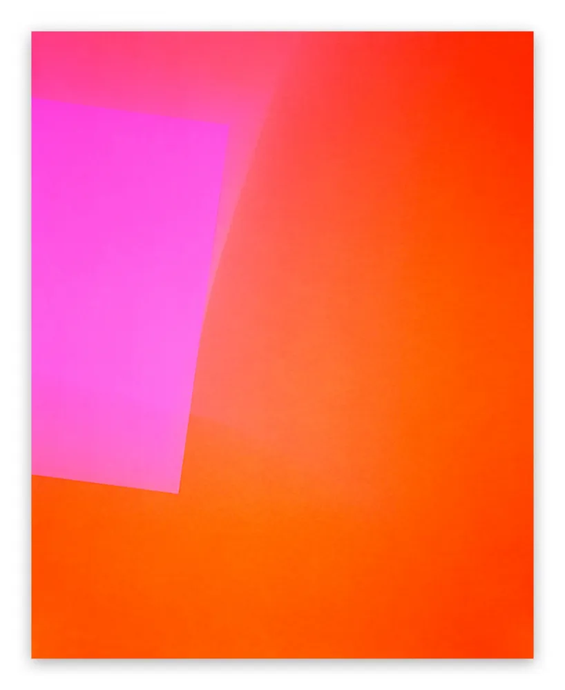 写真 Caldicot - Chance/Fall (11), 2010