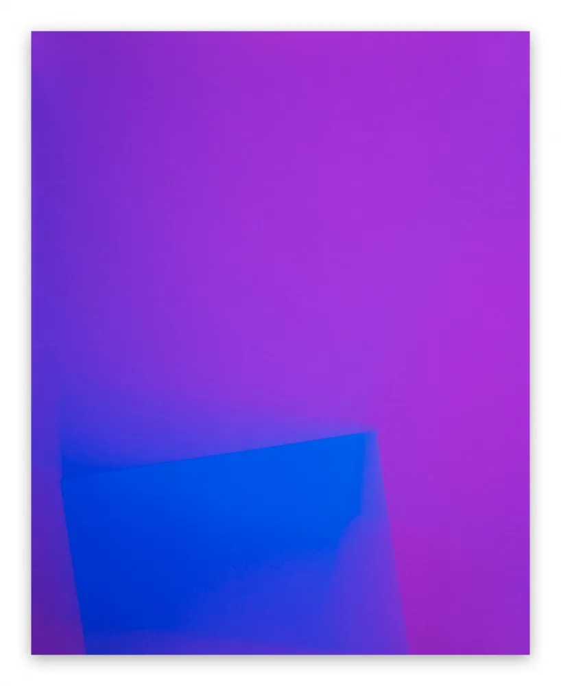 写真 Caldicot - Chance/Fall (6), 2010