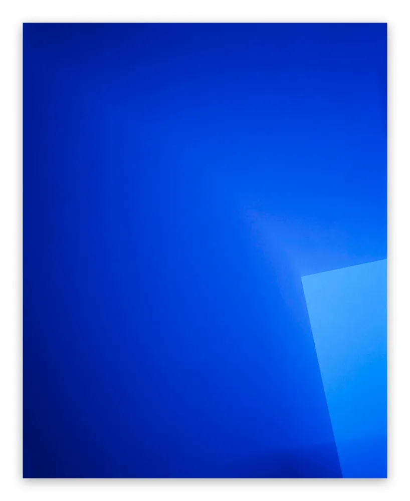 写真 Caldicot - Chance/Fall (8), 2010