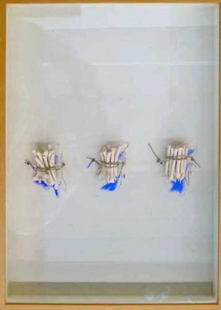 技術的なありません Calvo - Historia pendiente