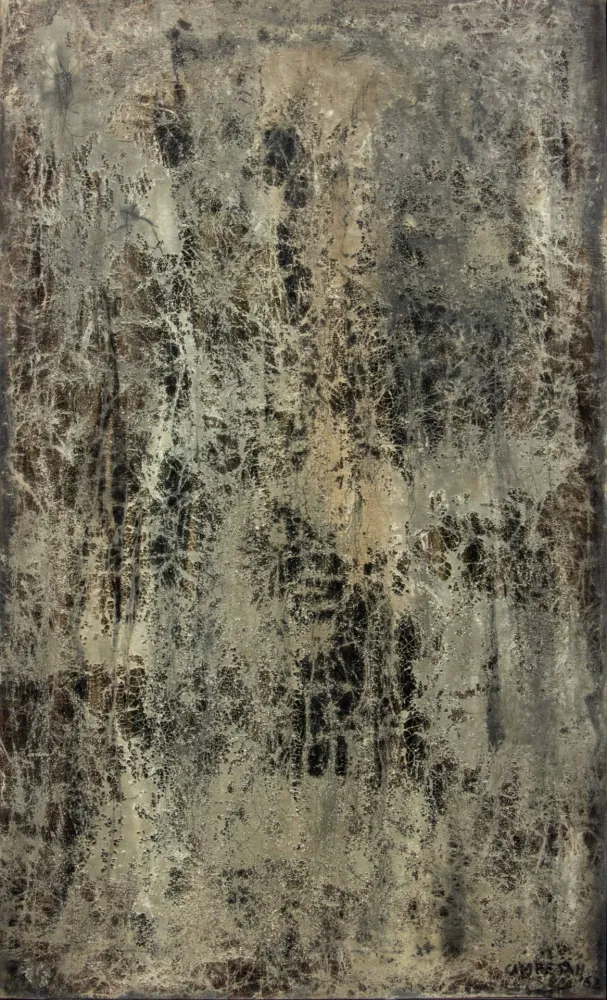 技術的なありません Campesan - BASSAMAREA