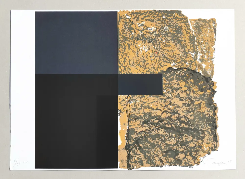 シルクスクリーン Canogar - Composizione