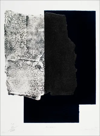 シルクスクリーン Canogar - Estrato