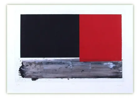 彫版 Canogar - Lecho