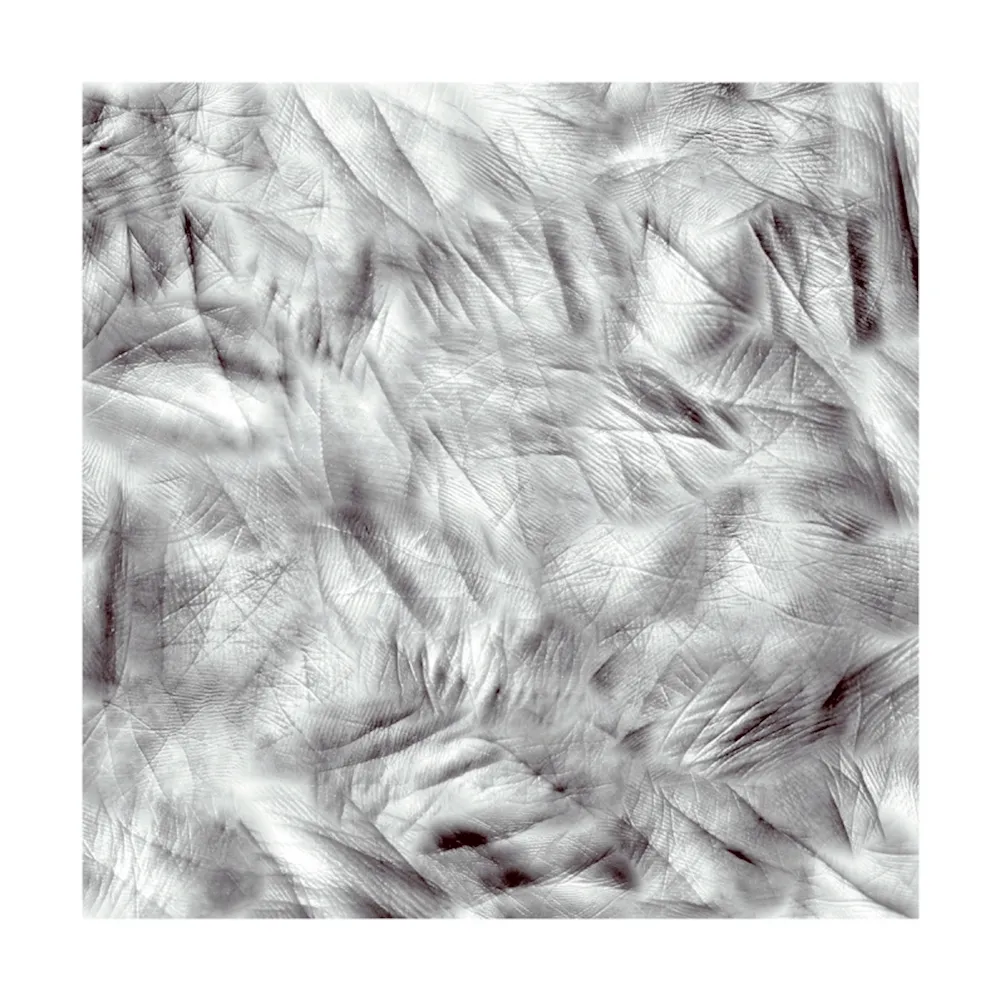 写真 Canogar - Life Lines