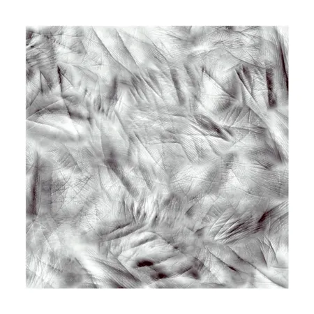 写真 Canogar - Life Lines