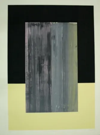 シルクスクリーン Canogar - NOSTROJENA