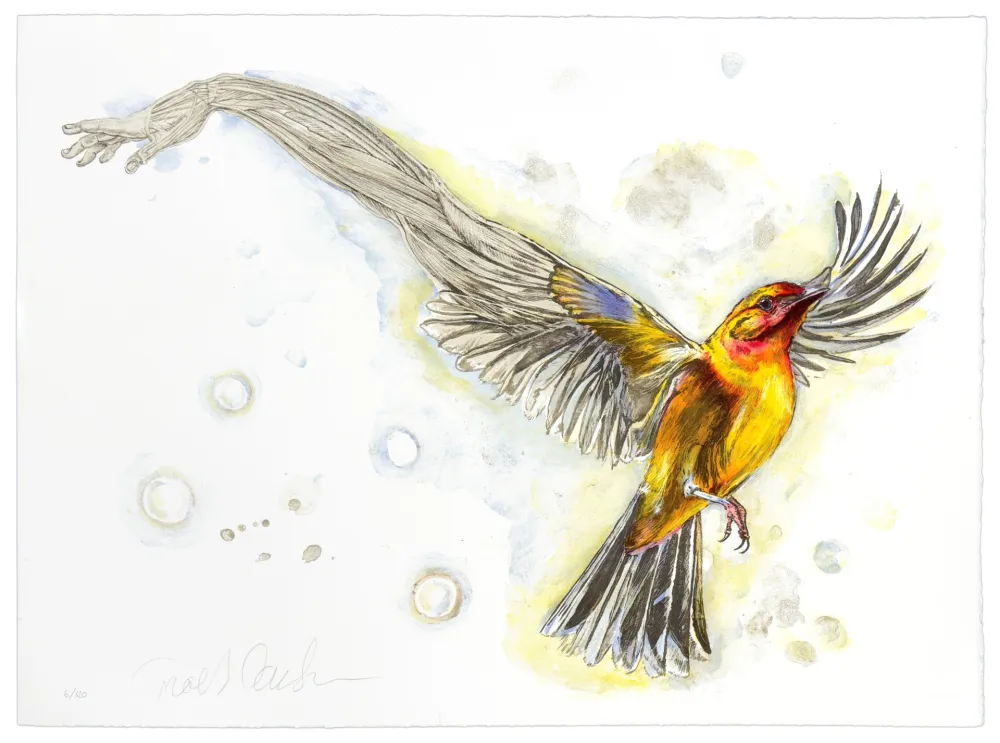 リトグラフ Carlsen - Mediator #2