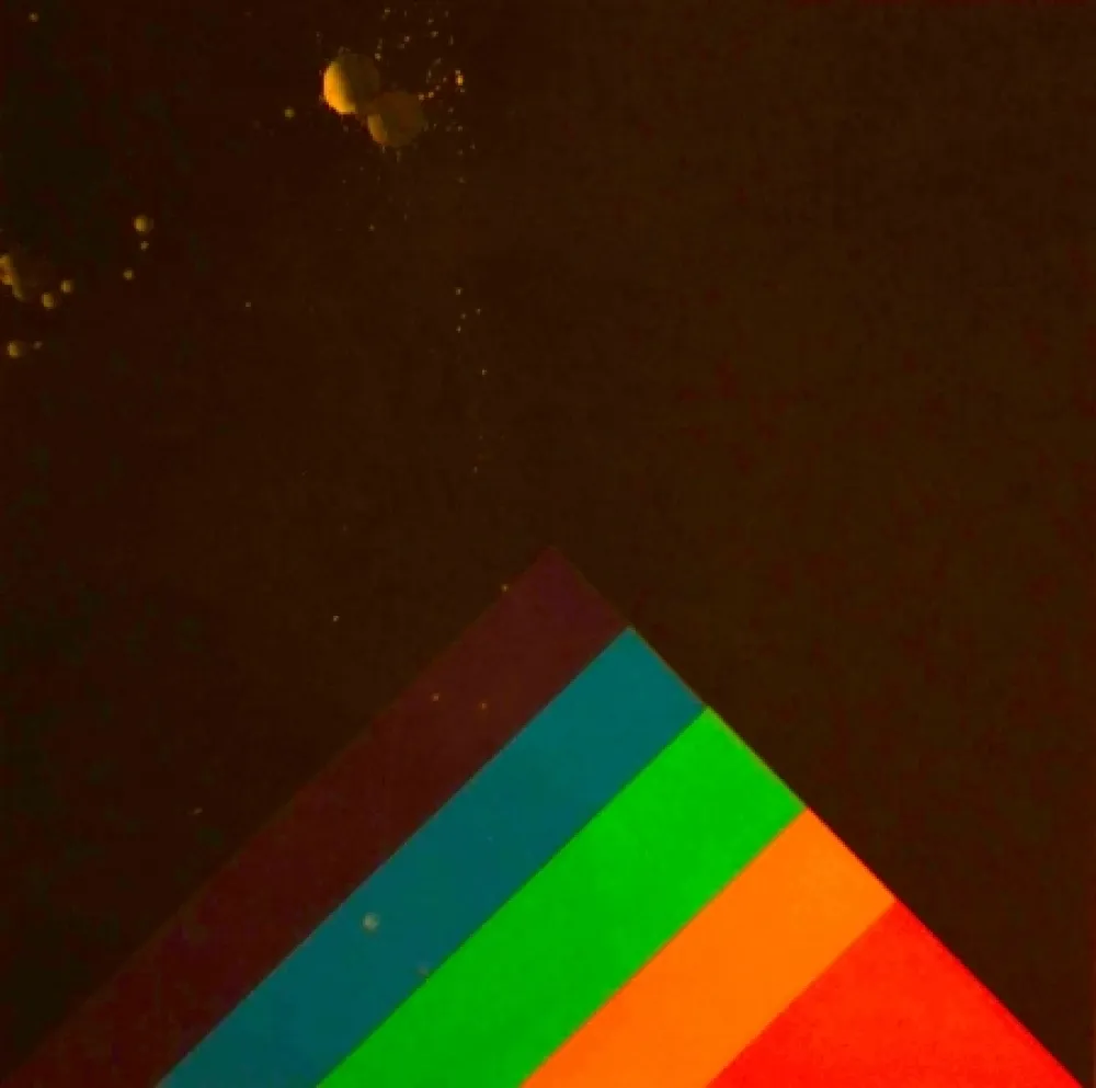 シルクスクリーン Carmi - SENZA TITOLO