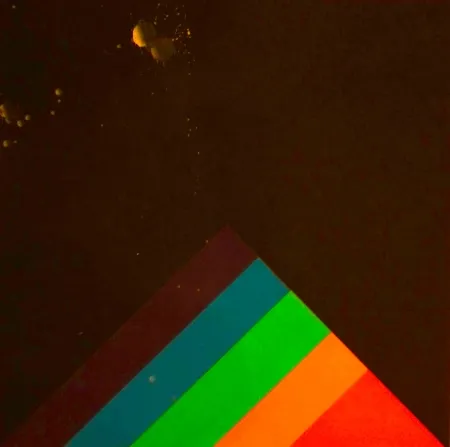 シルクスクリーン Carmi - SENZA TITOLO