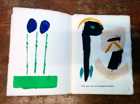 挿絵入り本 Cascella - Il Magocostruttordivoli