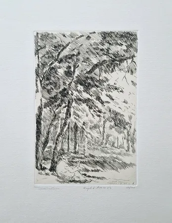 エッチング Castellani - Angolo di bosco